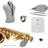 Saxophone alto, SML PARIS, VSM-A420-II